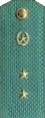 погоны 1969