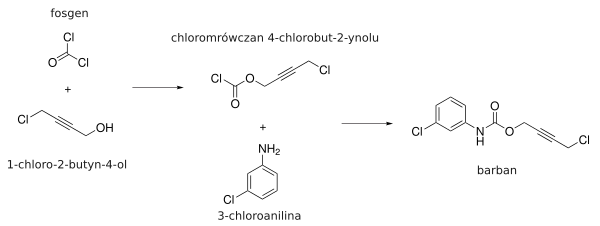 Barban preparation 2.svg