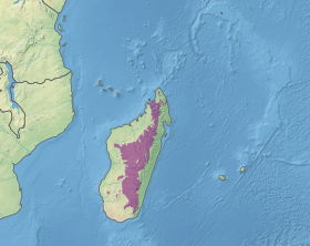 Ecoregion AT0118.svg