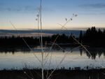 Elk Island.jpg