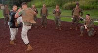 USMC-100412-M-9161A-014.jpg