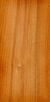 Wood Abies alba.jpg