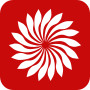 Городские линии.svg
