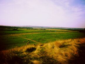 Кочкопожарки стога.jpg