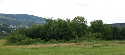 Юккъерчу бӀешерийн Ших-Кешнаш цӀе йолу нехан кешнашкара шира чурт.jpg