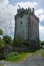 Castles of Connacht, Caherkinmonwee, Galway (1) - geograph.org.uk - 4070919.jpg