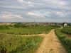 Chemin.jpg
