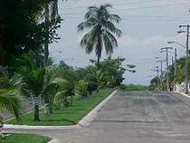 EntBacocho-e.jpg