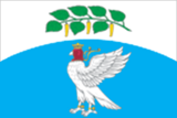 Флаг