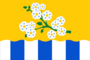 Flag of Leninsk.png