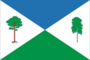 Flag of Sosnovskoe (Perm krai).png