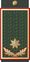 GAF Brigadier General new.jpg