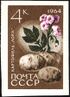 The Soviet Union 1964 CPA 3058 stamp (Agricultural Crops of the USSR. Potato or ground apple 'lorch' (Solanum tuberosum)).jpg