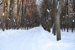 Главная аллея в Кусково.JPG