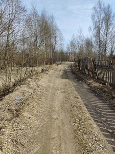 Павловск, улица Маяковского, весна.jpg