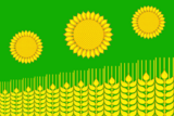 Флаг