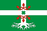 Флаг