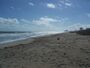 Ft Pierce FL Avalon SP beach03.jpg