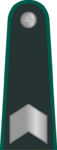 Lithuania-BorderGuard-SeniorNCO.png