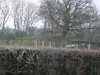 Llanfair Kilgeddin motte - geograph - 3255322.jpg