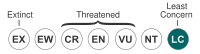 Status iucn3.1 LC.svg