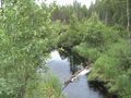Kollasjovenladvu, heinykuu 2008