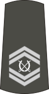 07-Serbian Army-WO2.svg