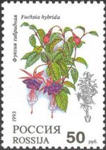 1993. Марка России 0080 hi.jpg