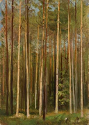 Forest (Shishkin).jpg