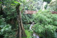 Hong Kong (4058269474).jpg
