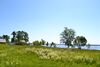Lyutsymer Lake in south-eastern edge of Shatsk, Ukraine.JPG