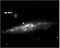 Ngc 4631.jpg