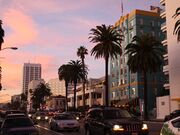 Ocean Avenue во время линьки