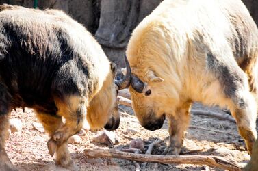 Take that you beast.jpg