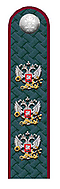 Действительный гос. советник РФ 1 класса ФНС.png