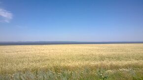 Kama River in Alexeyevsky District.jpg