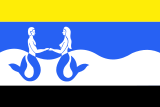Флаг[d]
