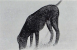 Seurat - Dorra and Rewald, 117a.png