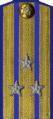 погон 1943