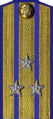 погон 1943