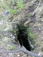 Олимпия DSCN7725.jpg