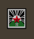 Ркка 1919сапавто.png