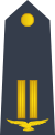 05-Somali Air Force-WO2.svg