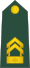 09-Slovenian Army-SGM.svg