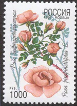 1997. Марка России 0336 hi.jpg