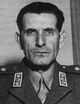 Ali-razmarapic.jpg