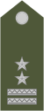 Army-SVK-OR-08a.svg