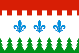 Флаг[d]