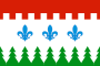 Flag of Savinskoe (Perm krai).svg