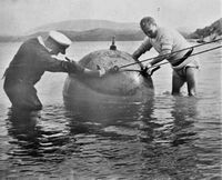 GY mine Corfu Channel 1946 IWM A 31242.jpg